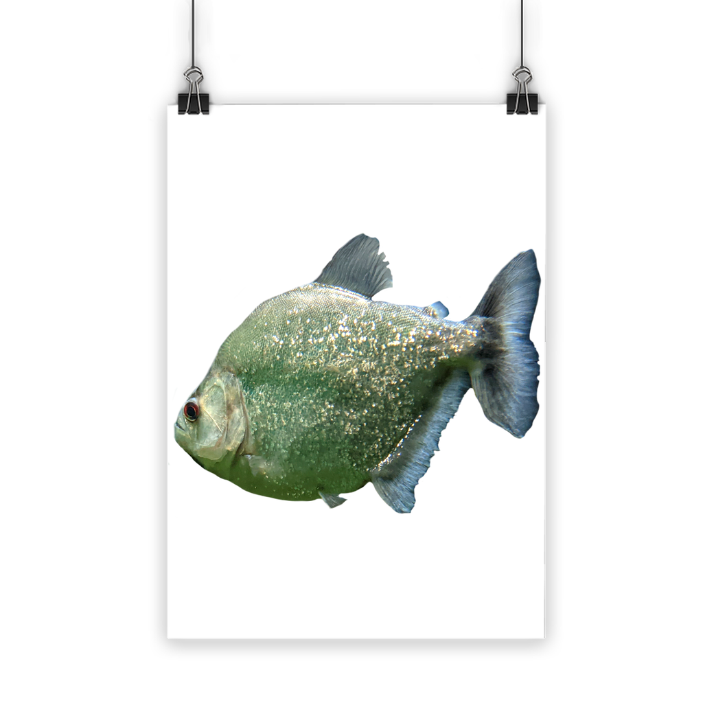 A vibrant Glitter Green Fish Classic Poster showcasing a colorful fish design on semi-gloss paper, perfect for indoor and outdoor decor.