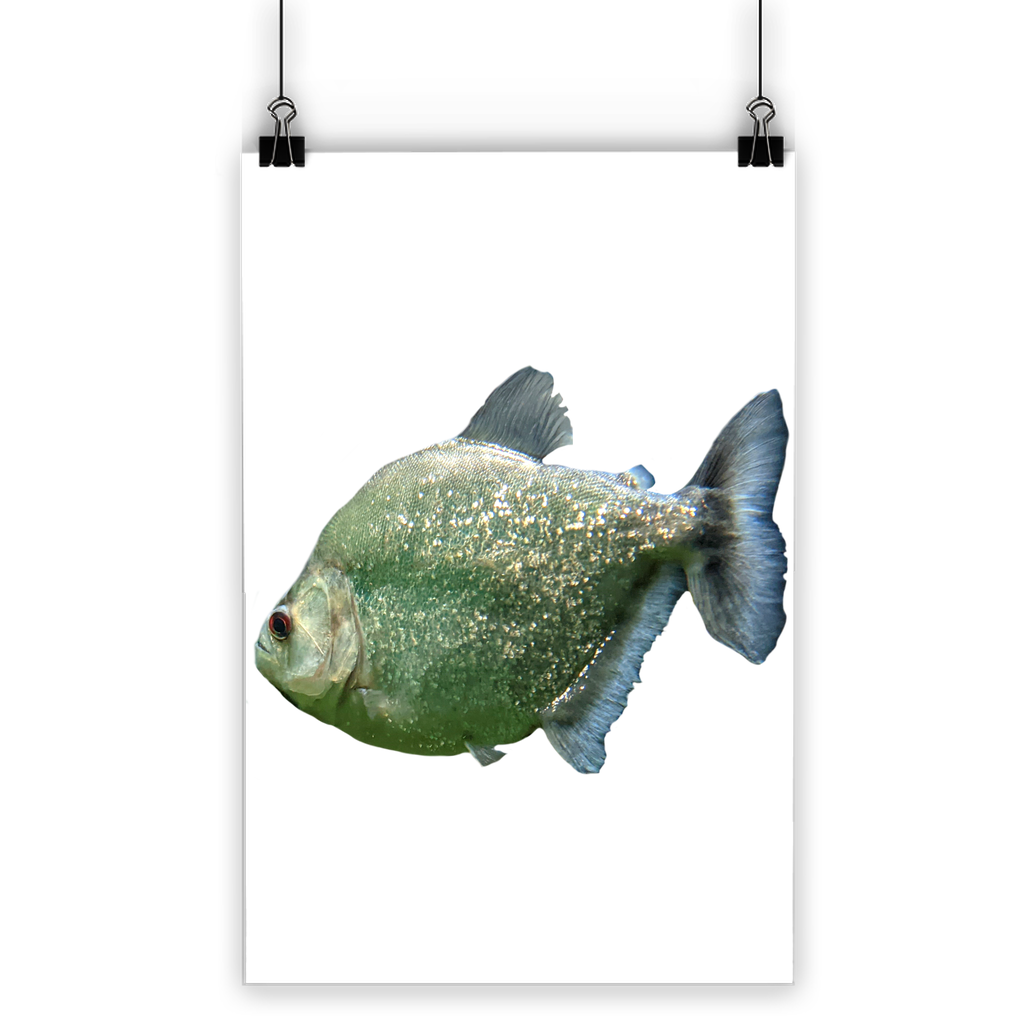 A vibrant Glitter Green Fish Classic Poster showcasing a colorful fish design on semi-gloss paper, perfect for indoor and outdoor decor.