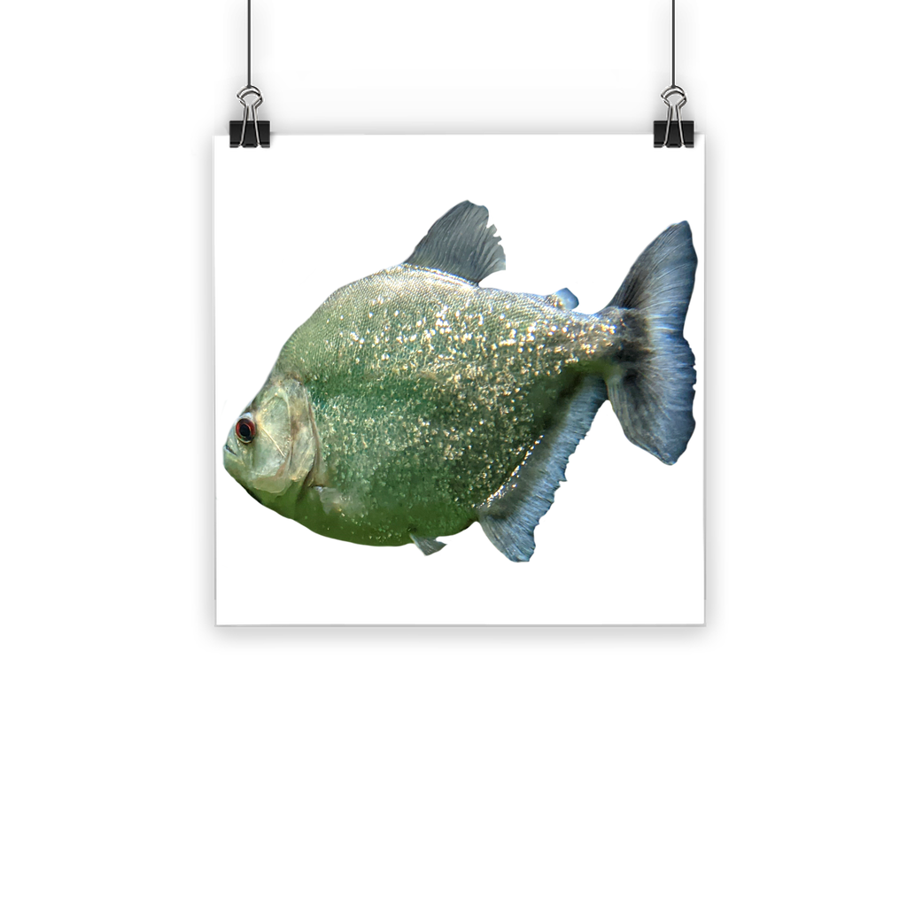 A vibrant Glitter Green Fish Classic Poster showcasing a colorful fish design on semi-gloss paper, perfect for indoor and outdoor decor.