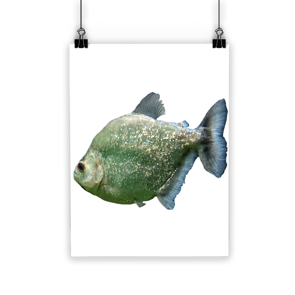 A vibrant Glitter Green Fish Classic Poster showcasing a colorful fish design on semi-gloss paper, perfect for indoor and outdoor decor.