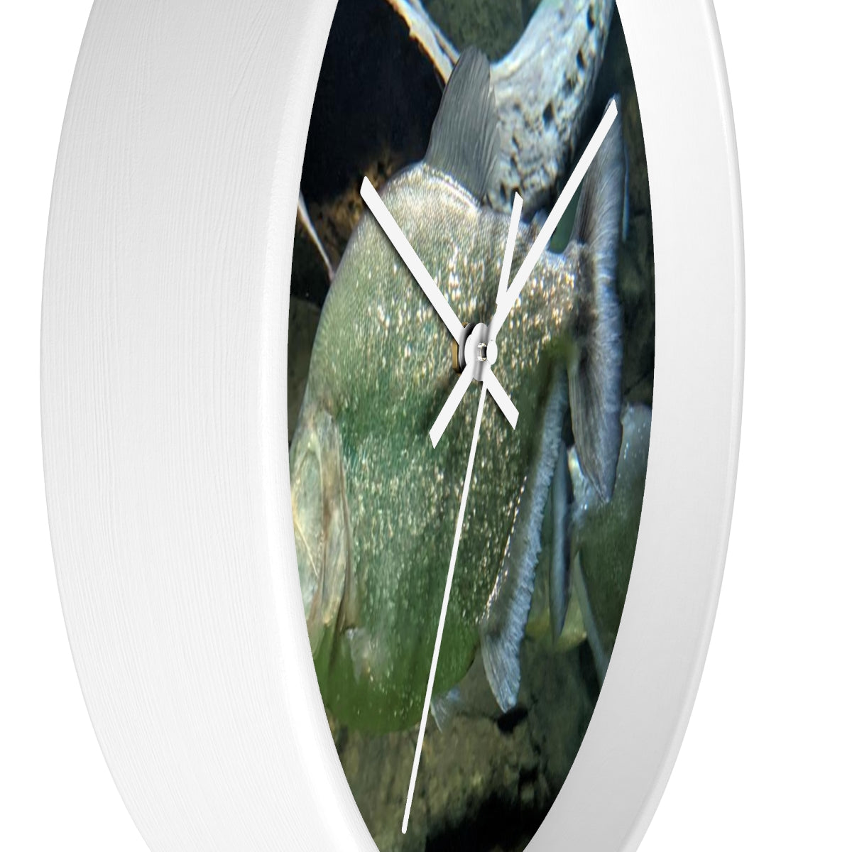 Glitter Green Fish Wall Clock with wooden frame and plexiglass face, showcasing a vibrant fish design.