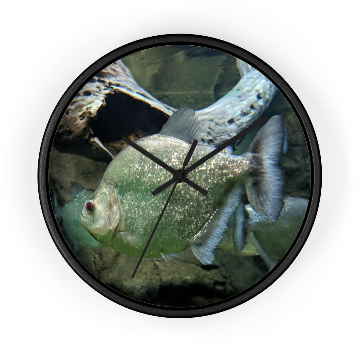 Glitter Green Fish Wall Clock with wooden frame and plexiglass face, showcasing a vibrant fish design.