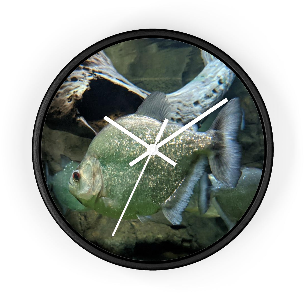 Glitter Green Fish Wall Clock with wooden frame and plexiglass face, showcasing a vibrant fish design.