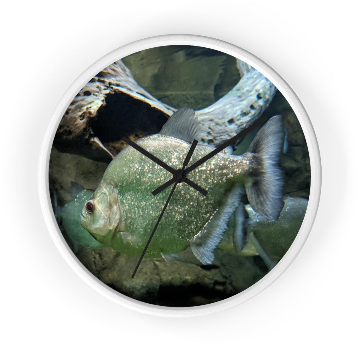 Glitter Green Fish Wall Clock with wooden frame and plexiglass face, showcasing a vibrant fish design.