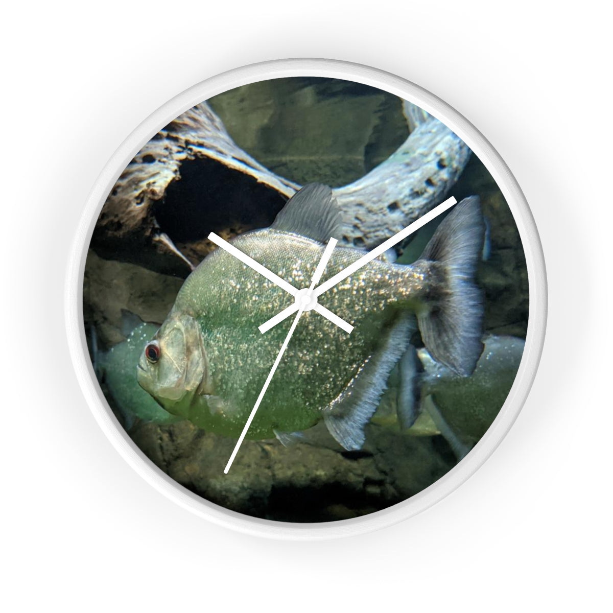 Glitter Green Fish Wall Clock with wooden frame and plexiglass face, showcasing a vibrant fish design.