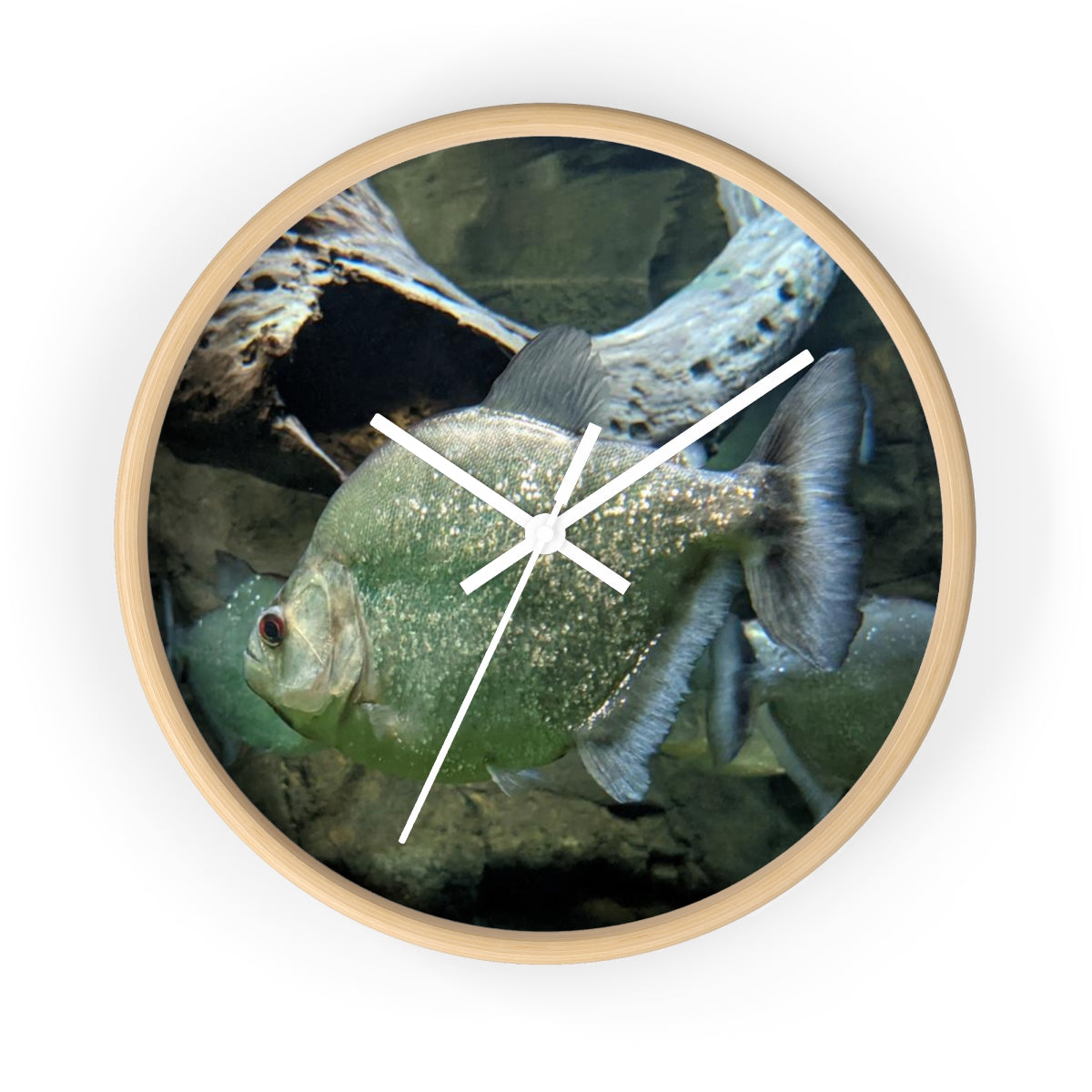 Glitter Green Fish Wall Clock with wooden frame and plexiglass face, showcasing a vibrant fish design.