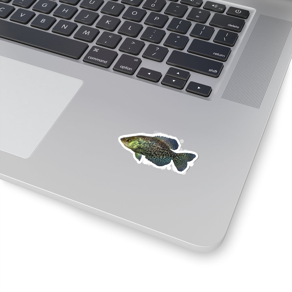 Golden Fish Kiss-Cut Stickers showcasing various shapes and sizes on a white background.