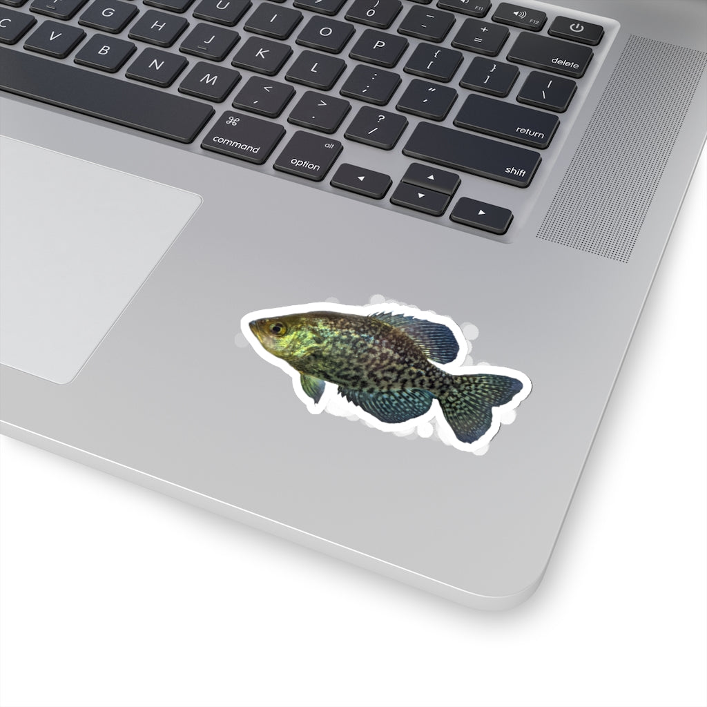 Golden Fish Kiss-Cut Stickers showcasing various shapes and sizes on a white background.