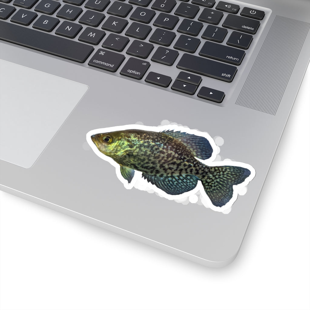 Golden Fish Kiss-Cut Stickers showcasing various shapes and sizes on a white background.