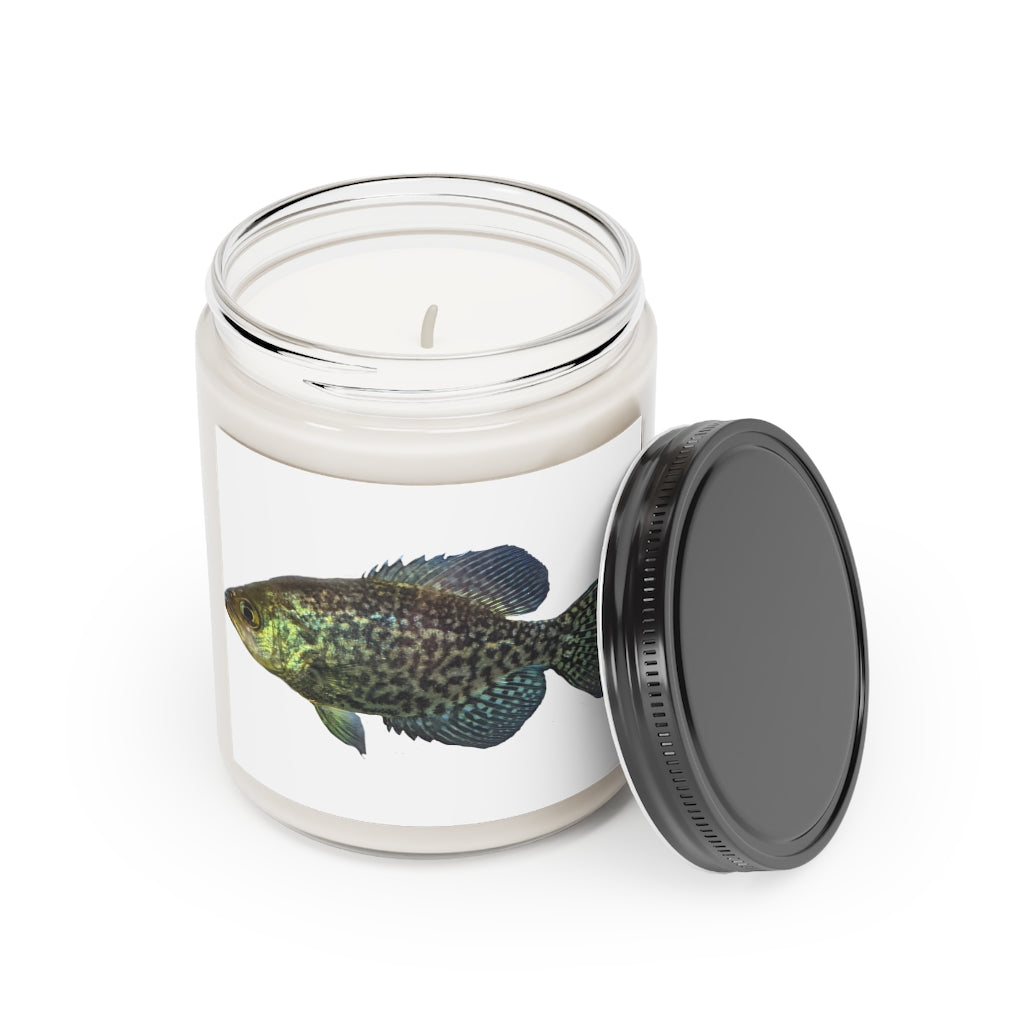 Golden Fish Scented Candle in a glass container, featuring a warm glow and a stylish label, showcasing its vegan soy coconut wax composition.