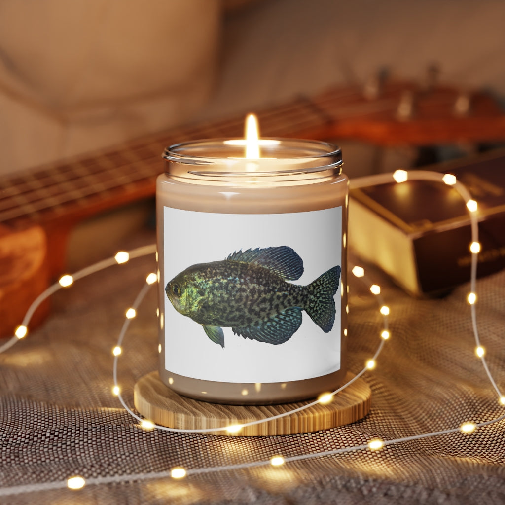 Golden Fish Scented Candle in a glass container, featuring a warm glow and a stylish label, showcasing its vegan soy coconut wax composition.