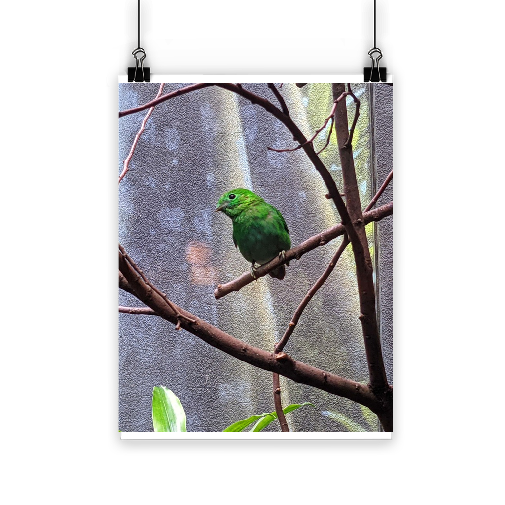 A vibrant Green Bird Classic Poster showcasing bright colors and a semi-gloss finish, ideal for indoor and outdoor display.