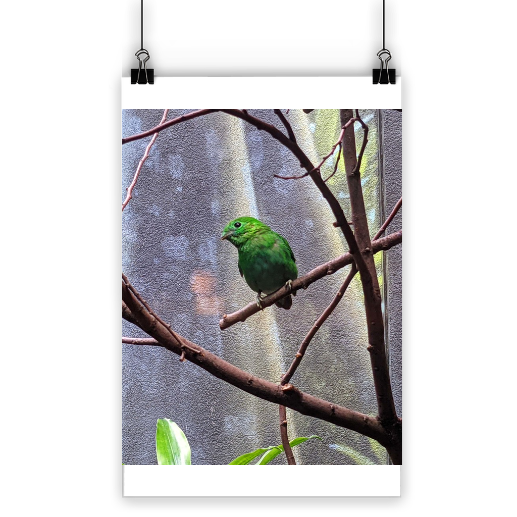 A vibrant Green Bird Classic Poster showcasing bright colors and a semi-gloss finish, ideal for indoor and outdoor display.