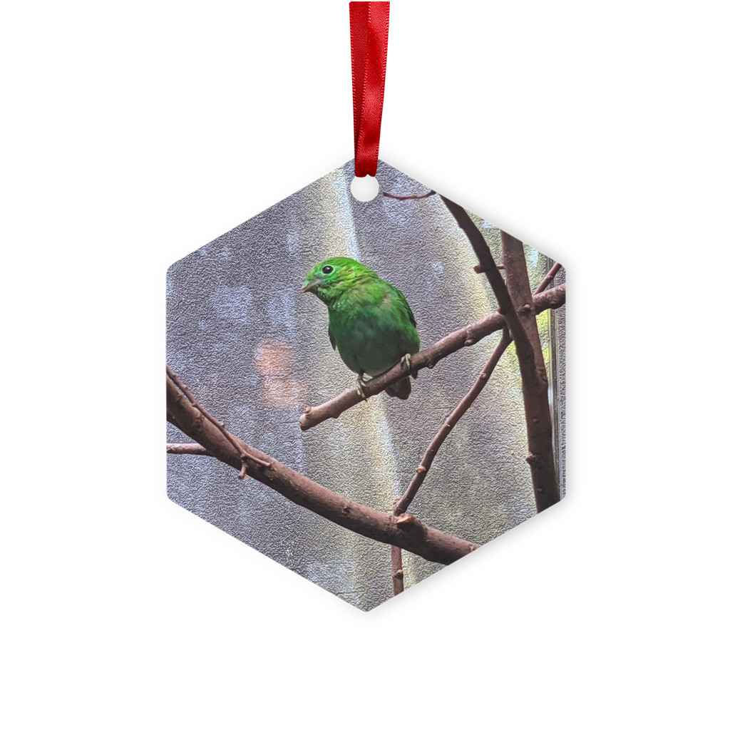 Green Bird Metal Hanging Ornament in hexagon and star shapes, featuring a gloss white finish and red ribbon.