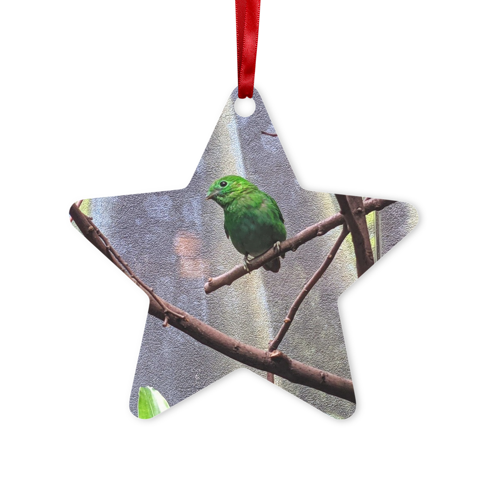 Green Bird Metal Hanging Ornament in hexagon and star shapes, featuring a gloss white finish and red ribbon.