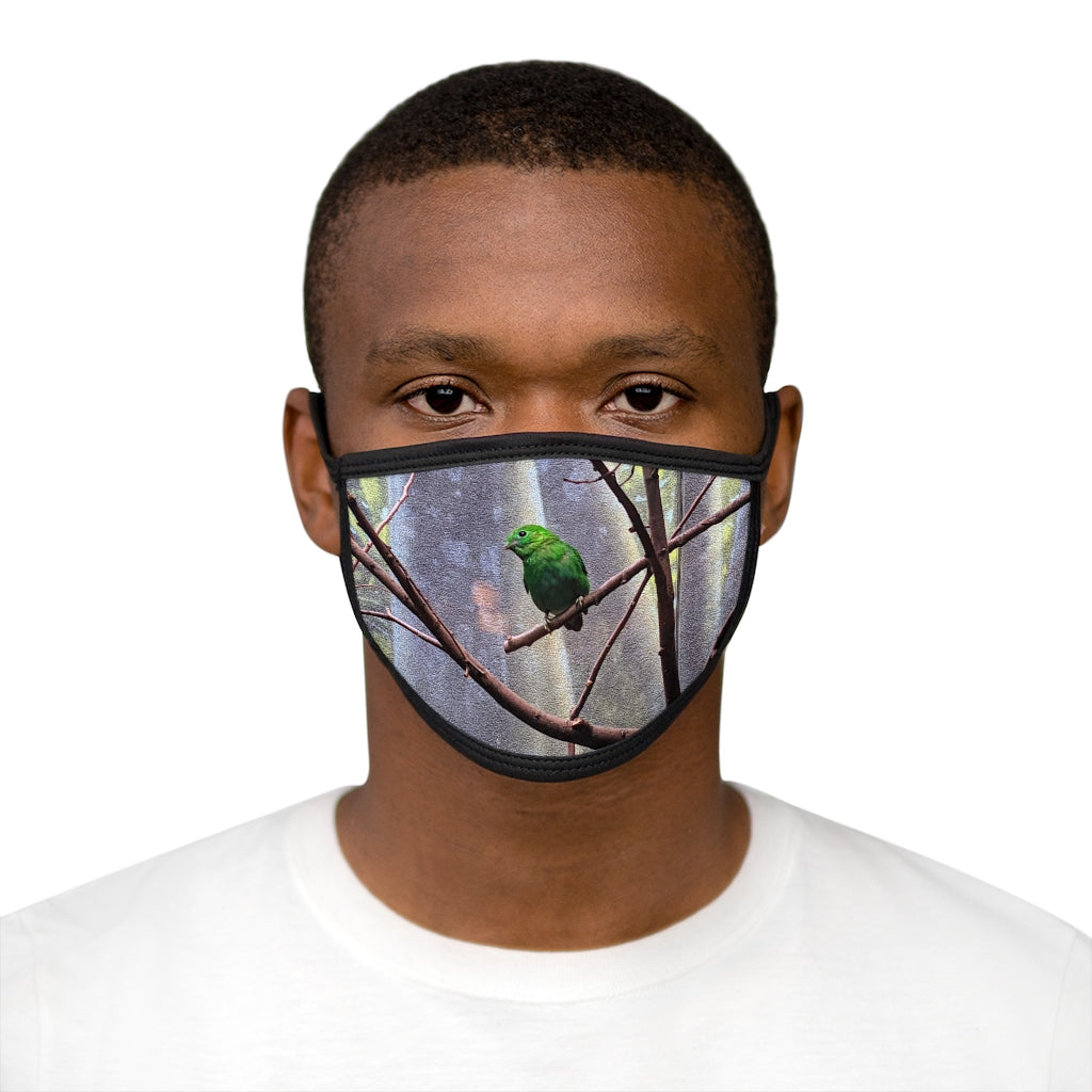 Green Bird Mixed-Fabric Face Mask featuring a vibrant bird pattern with a black outer edge and earloops.