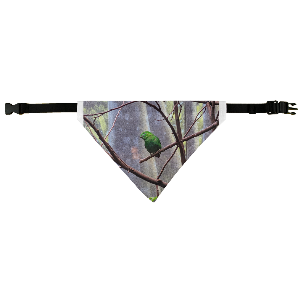 Green Bird Pet Bandana made of 100% polyester, featuring a classic design with an easy fastening strap, perfect for pets of all sizes.