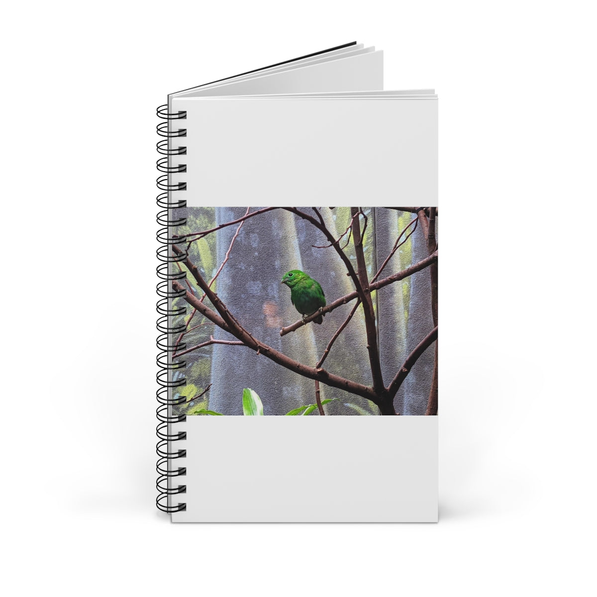 Green Bird Spiral Journal featuring a vibrant cover design, showcasing various styles including blank, dot grid, lined, and task manager layouts.