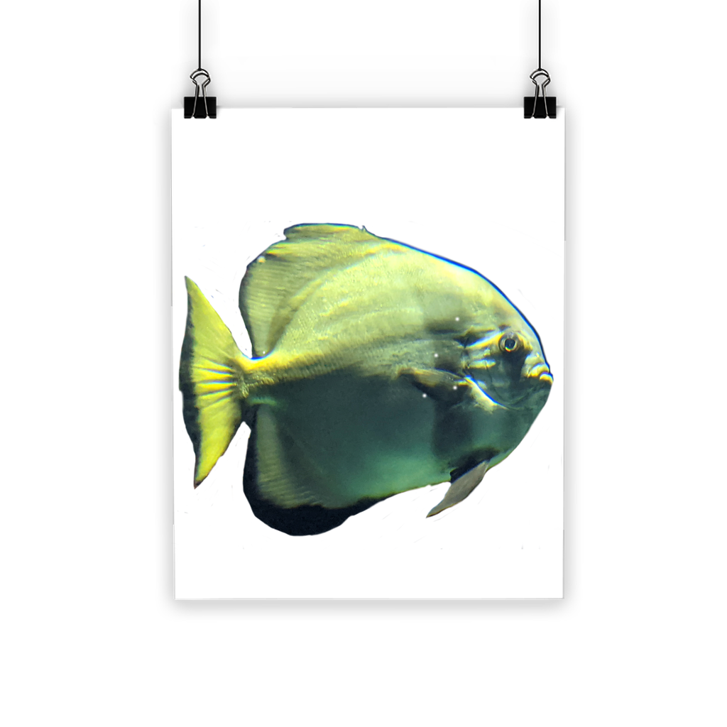 A vibrant Green Fish Classic Poster showcasing bright colors and intricate details, printed on semi-gloss paper for a photographic finish.