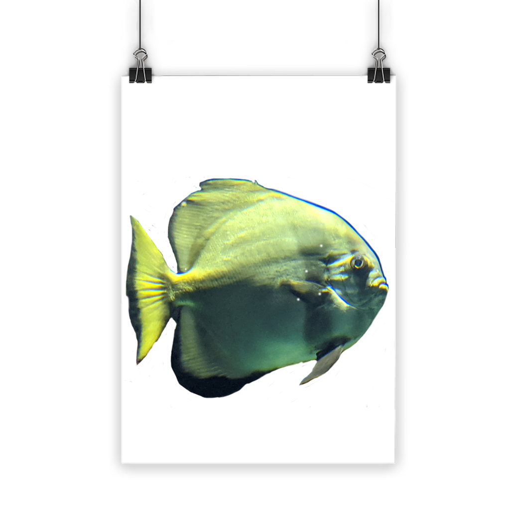 A vibrant Green Fish Classic Poster showcasing bright colors and intricate details, printed on semi-gloss paper for a photographic finish.