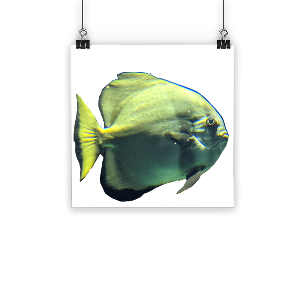 A vibrant Green Fish Classic Poster showcasing bright colors and intricate details, printed on semi-gloss paper for a photographic finish.