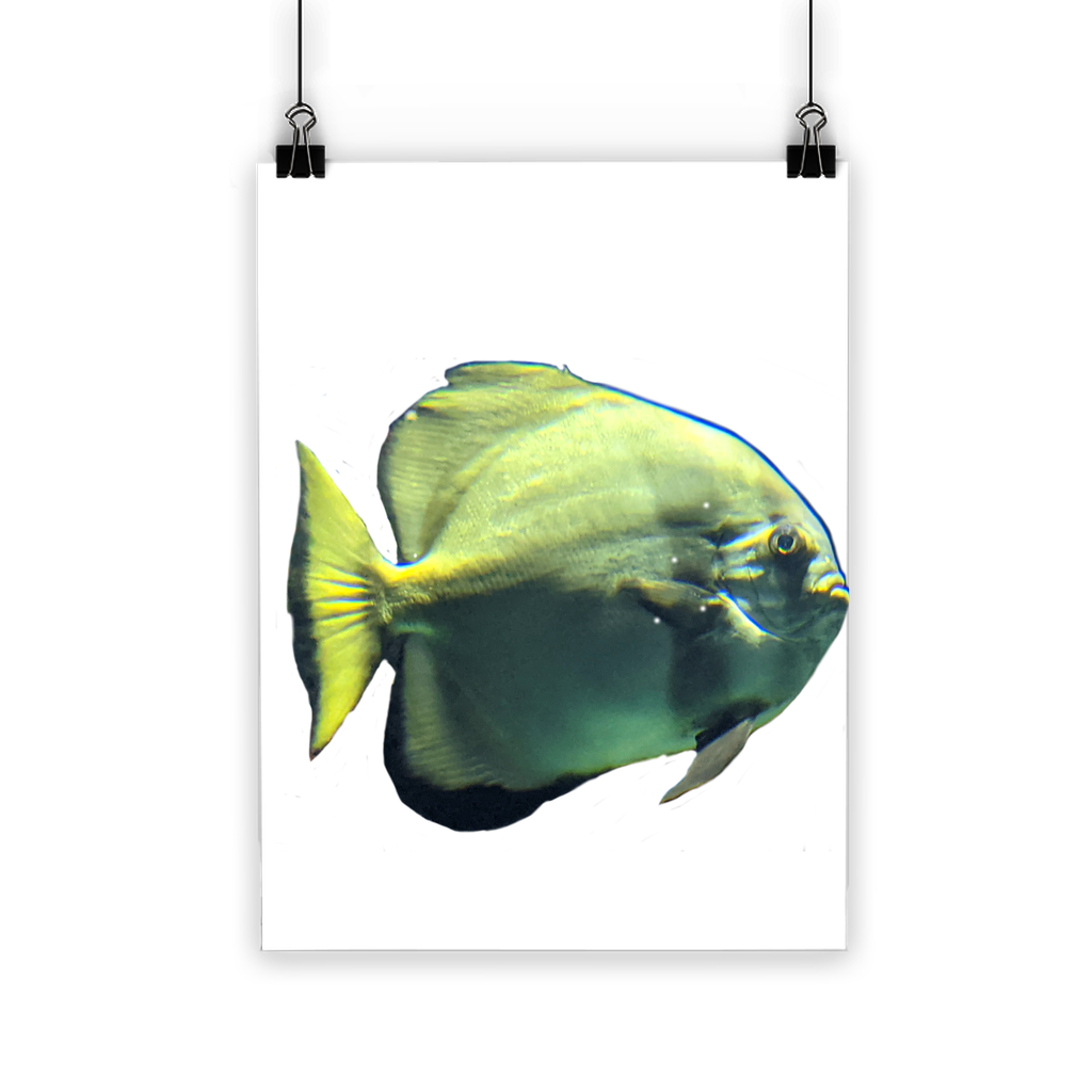 A vibrant Green Fish Classic Poster showcasing bright colors and intricate details, printed on semi-gloss paper for a photographic finish.