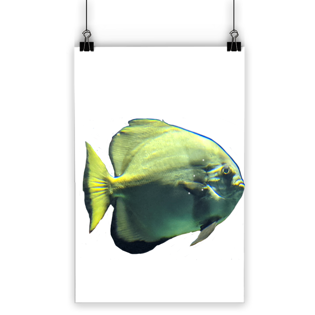 A vibrant Green Fish Classic Poster showcasing bright colors and intricate details, printed on semi-gloss paper for a photographic finish.