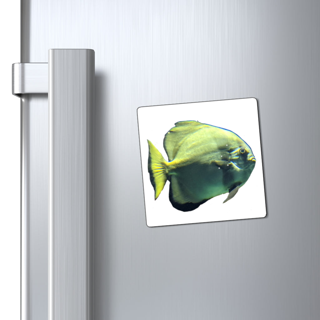 A set of vibrant green fish magnets with a black backing, showcasing their strong hold and lightweight design.