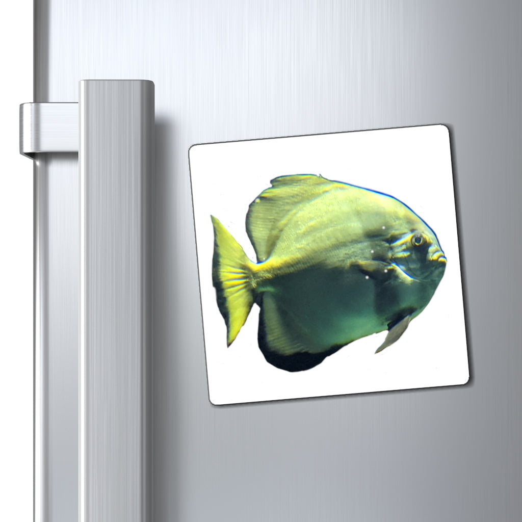 A set of vibrant green fish magnets with a black backing, showcasing their strong hold and lightweight design.