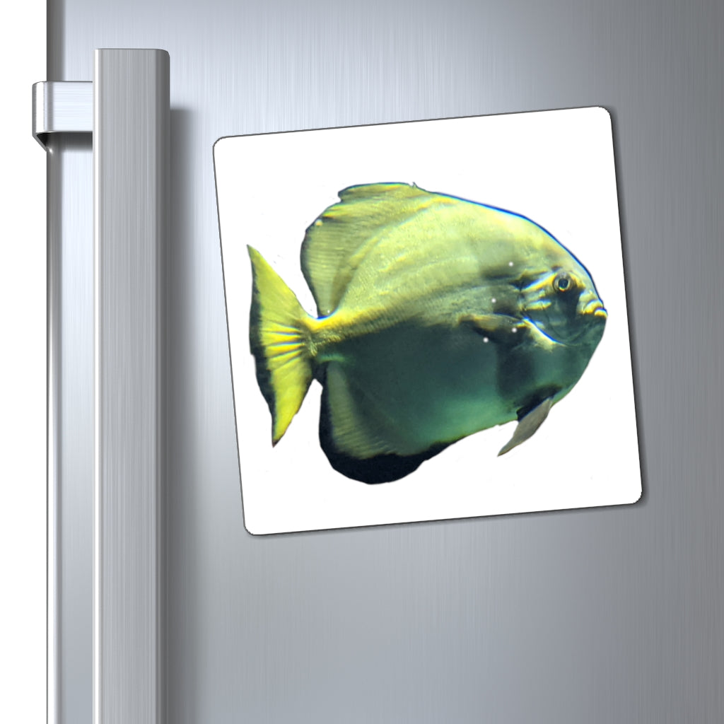 A set of vibrant green fish magnets with a black backing, showcasing their strong hold and lightweight design.