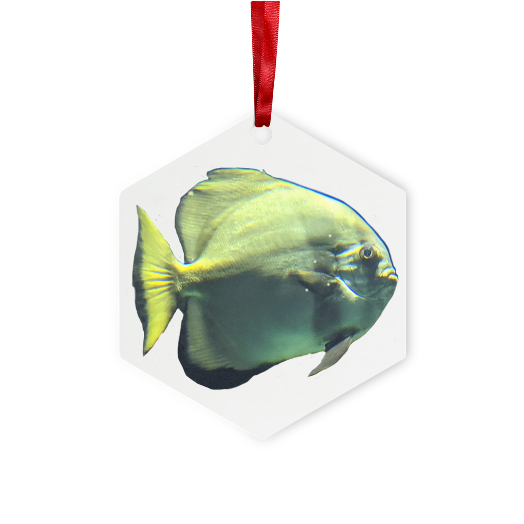 Green Fish Metal Hanging Ornament in hexagon and star shapes, featuring a glossy white finish and red ribbon for hanging.