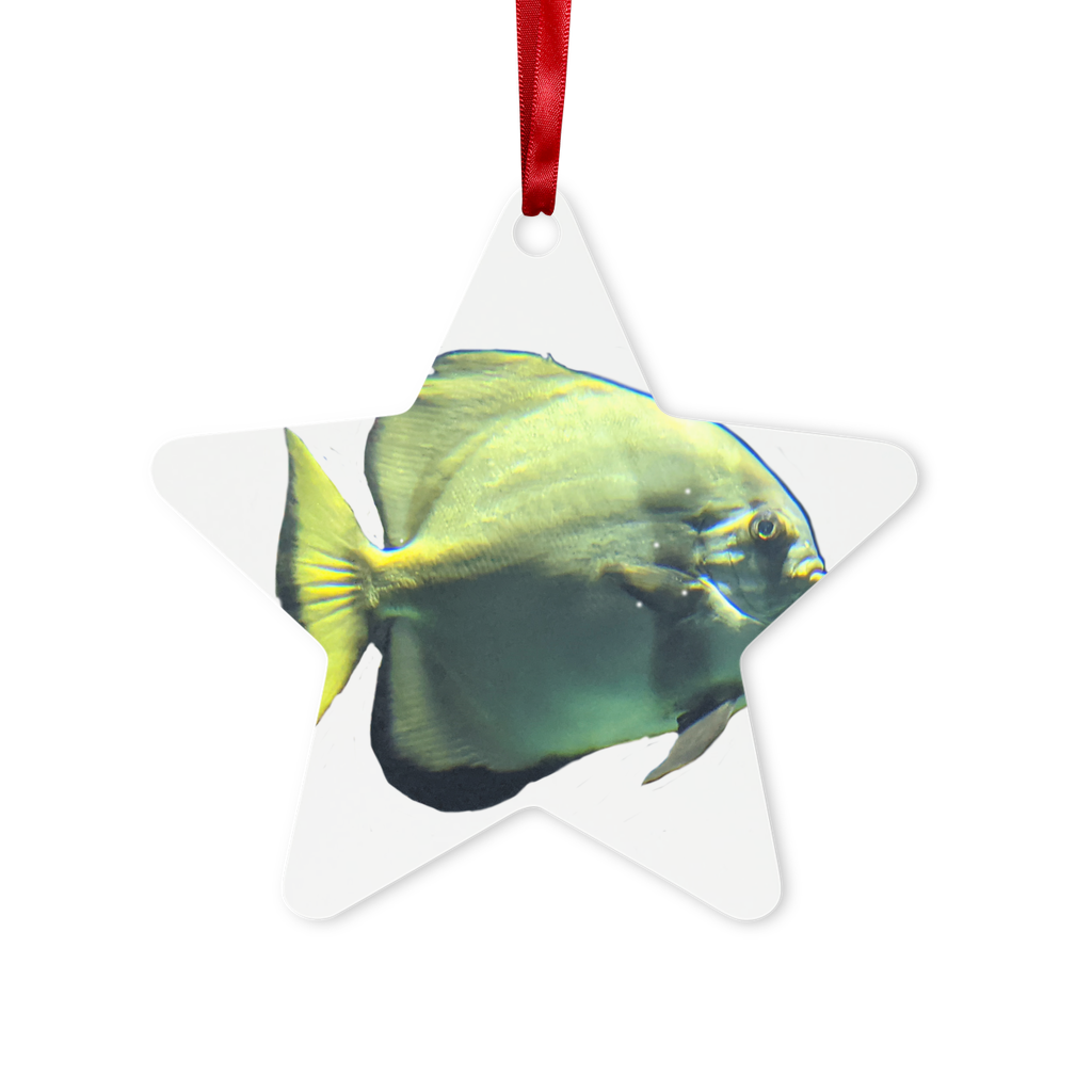 Green Fish Metal Hanging Ornament in hexagon and star shapes, featuring a glossy white finish and red ribbon for hanging.