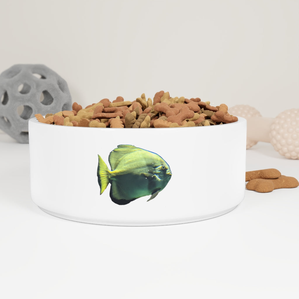 A stylish green ceramic pet bowl featuring a fish design, measuring 6 inches in diameter and 2.25 inches tall.