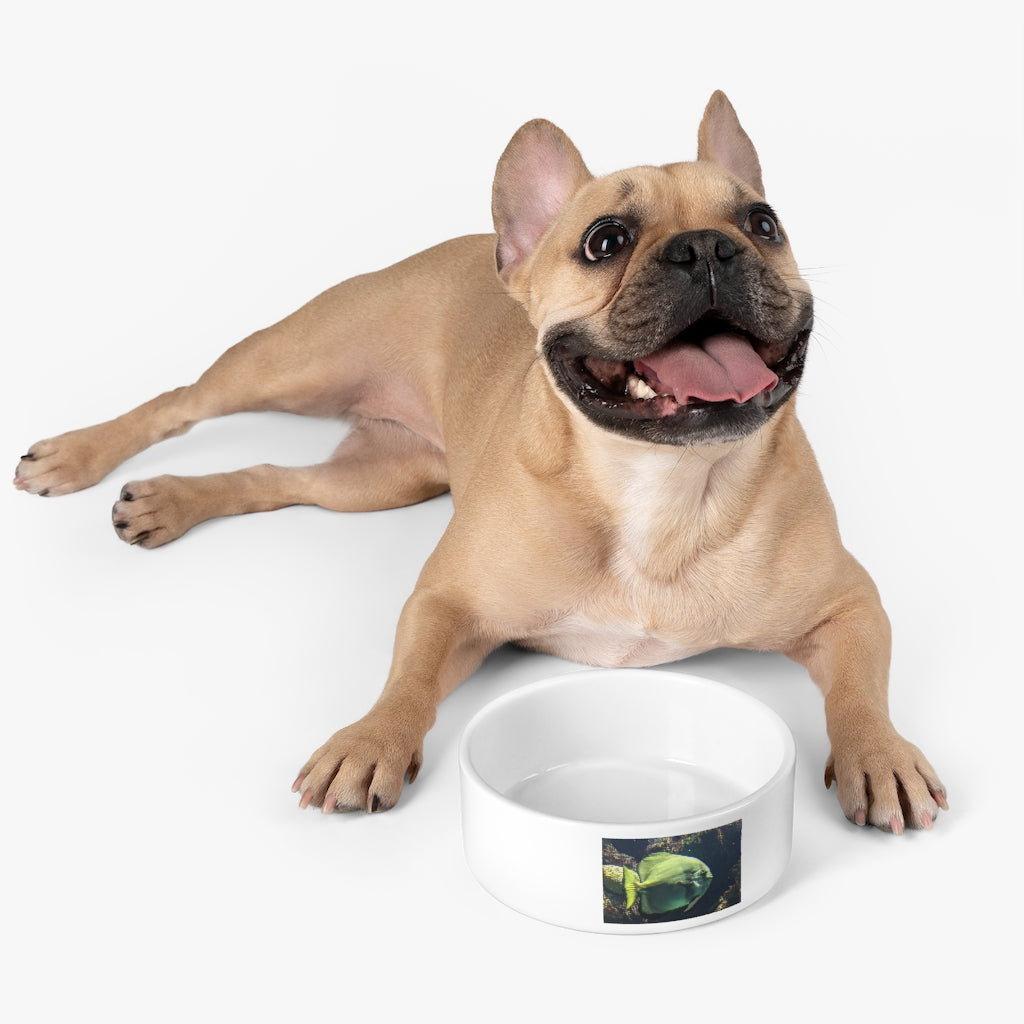 Green Fish Pet Bowl made of white ceramic with a glazed finish, featuring a customizable design that wraps around half of the bowl.