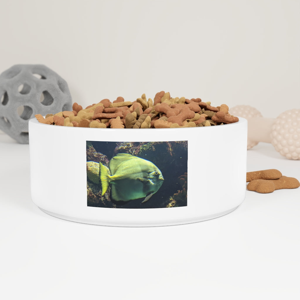 Green Fish Pet Bowl made of white ceramic with a glazed finish, featuring a customizable design that wraps around half of the bowl.