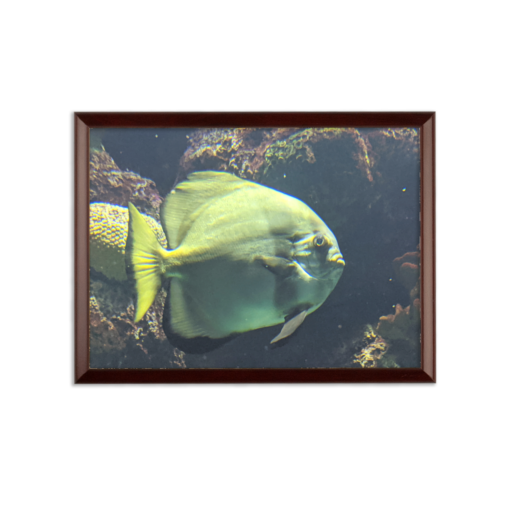 Green Fish Sublimation Wall Plaque with brown wooden frame and white printable surface, showcasing customizable design options.