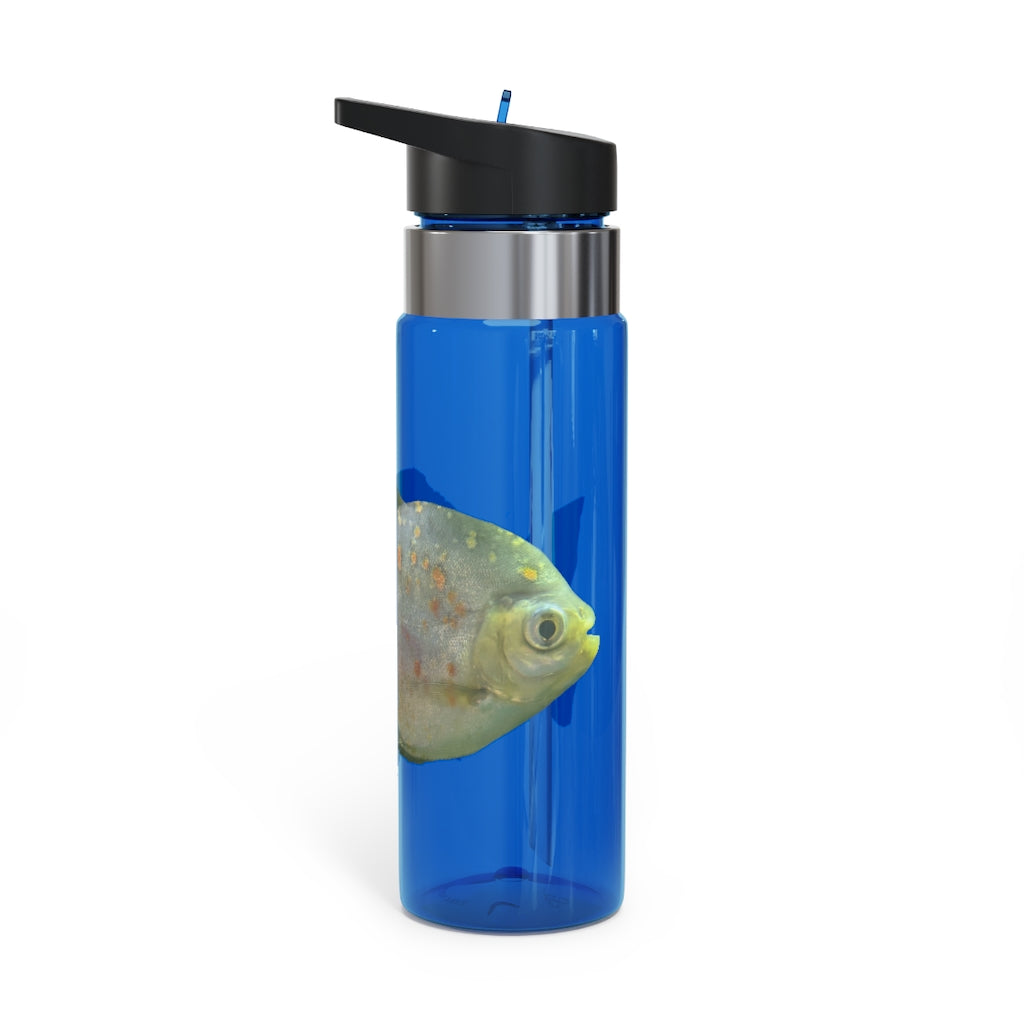 Green Fish Kensington Tritan™ Sport Bottle, 20oz, featuring a durable design with a carabiner hook and spill-resistant lid.