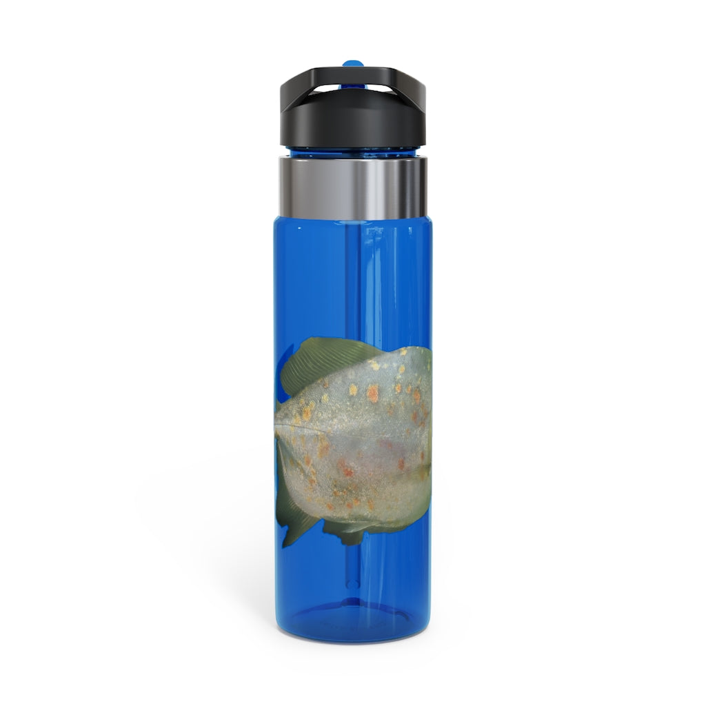 Green Fish Kensington Tritan™ Sport Bottle, 20oz, featuring a durable design with a carabiner hook and spill-resistant lid.