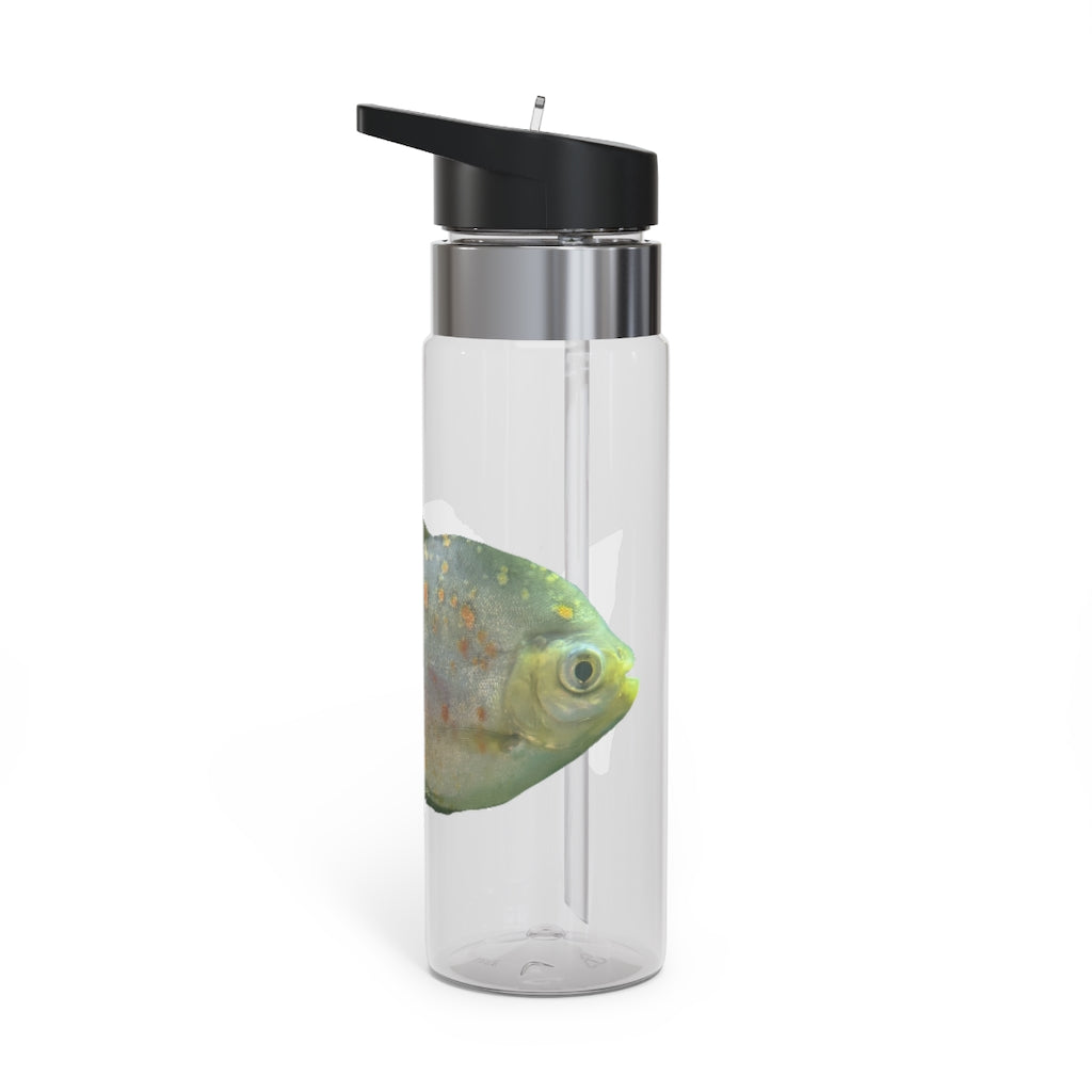 Green Fish Kensington Tritan™ Sport Bottle, 20oz, featuring a durable design with a carabiner hook and spill-resistant lid.