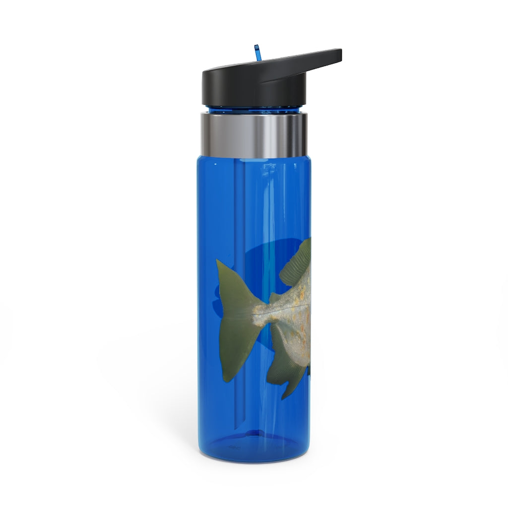 Green Fish Kensington Tritan™ Sport Bottle, 20oz, featuring a durable design with a carabiner hook and spill-resistant lid.