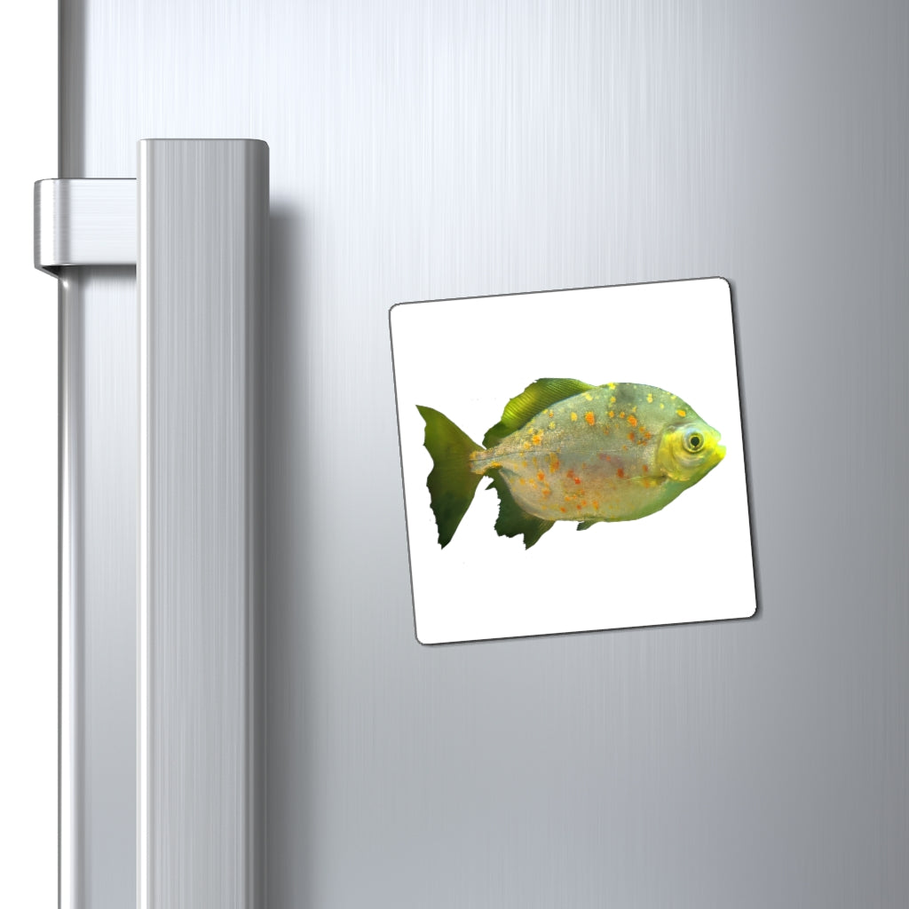 A vibrant green fish-shaped magnet with specs, showcasing a strong magnetic backing and a sleek black design.