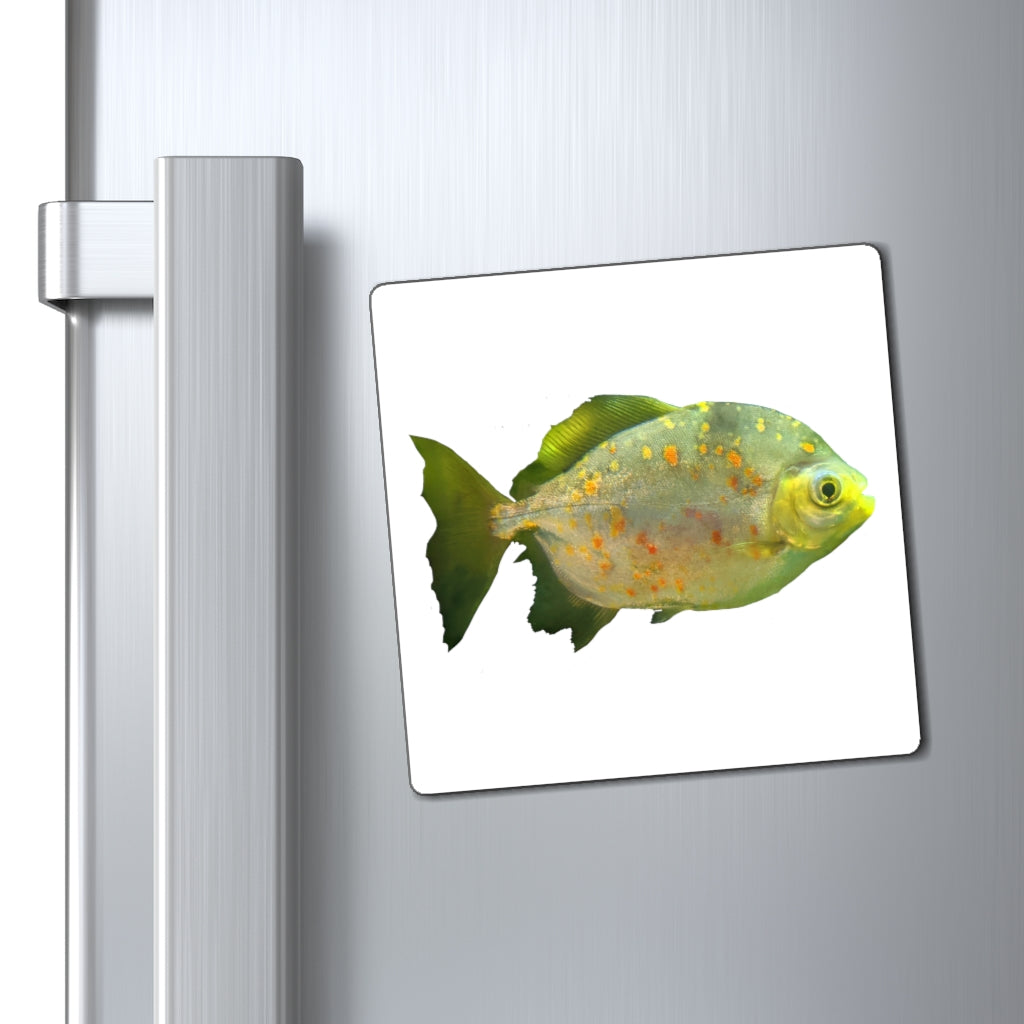 A vibrant green fish-shaped magnet with specs, showcasing a strong magnetic backing and a sleek black design.