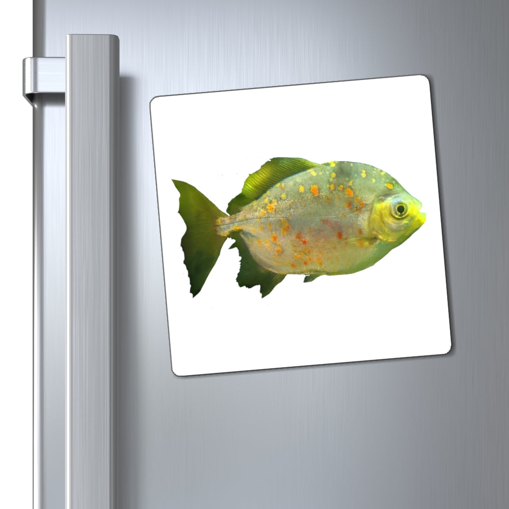 A vibrant green fish-shaped magnet with specs, showcasing a strong magnetic backing and a sleek black design.