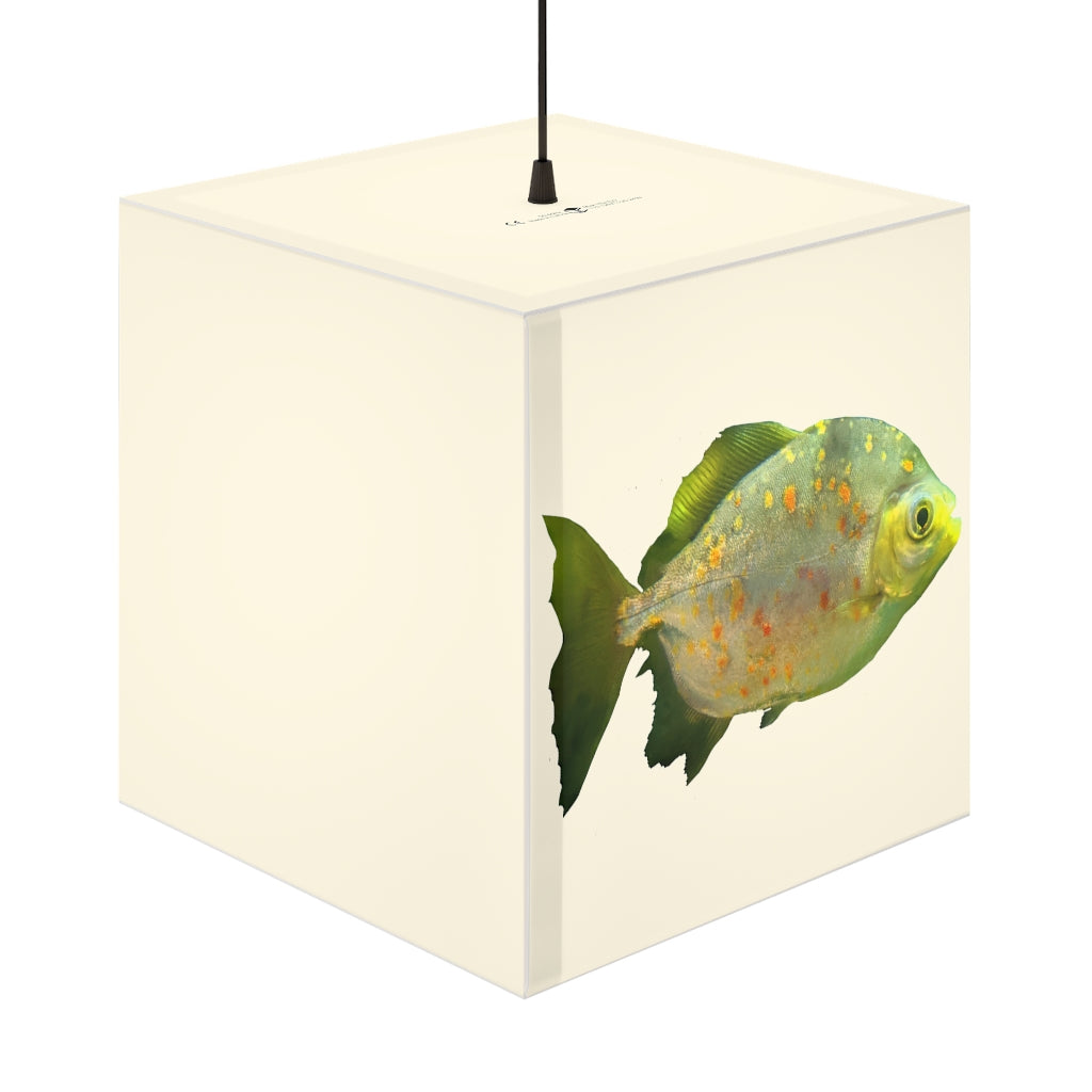 A stylish Green Fish with Specs Personalized Lamp featuring a unique cube design, perfect for indoor decoration and lighting.