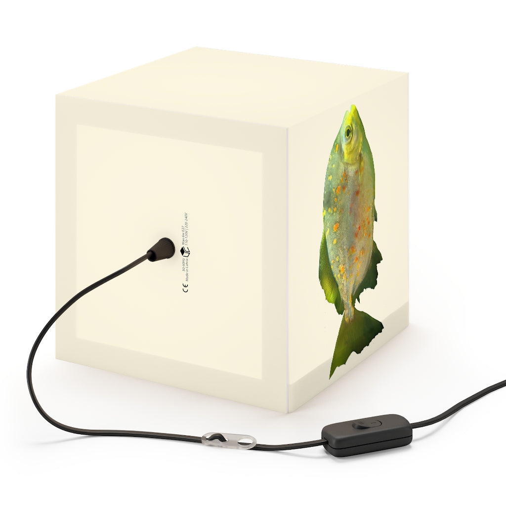 A stylish Green Fish with Specs Personalized Lamp featuring a unique cube design, perfect for indoor decoration and lighting.