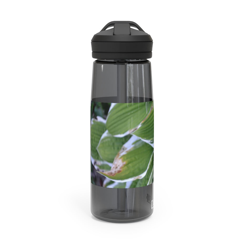 Green Leaves CamelBak Eddy® Water Bottle in 20oz and 25oz sizes, showcasing its durable design and spill-proof valve.