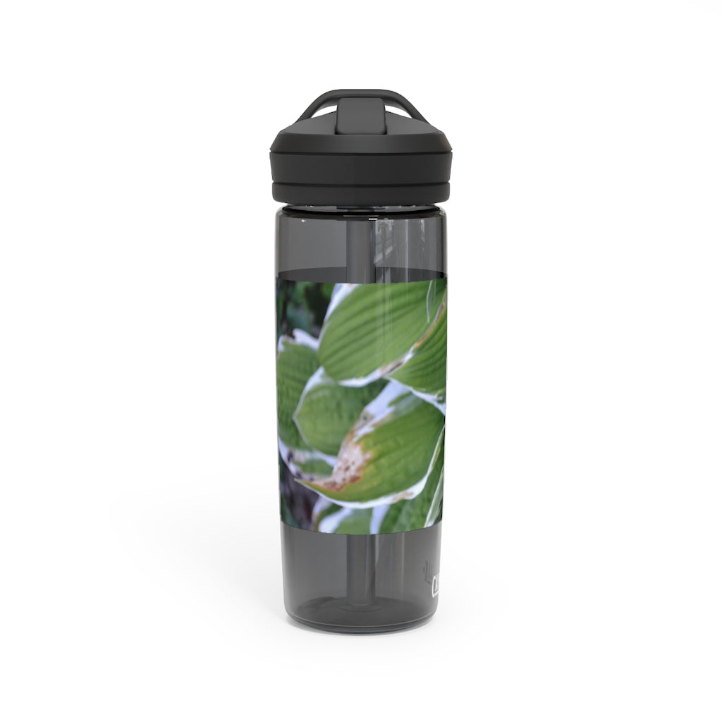 Green Leaves CamelBak Eddy® Water Bottle in 20oz and 25oz sizes, showcasing its durable design and spill-proof valve.