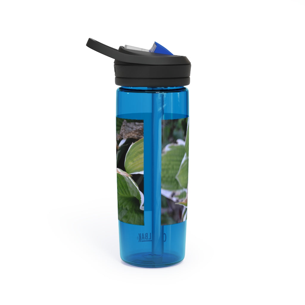 Green Leaves CamelBak Eddy® Water Bottle in 20oz and 25oz sizes, showcasing its durable design and spill-proof valve.