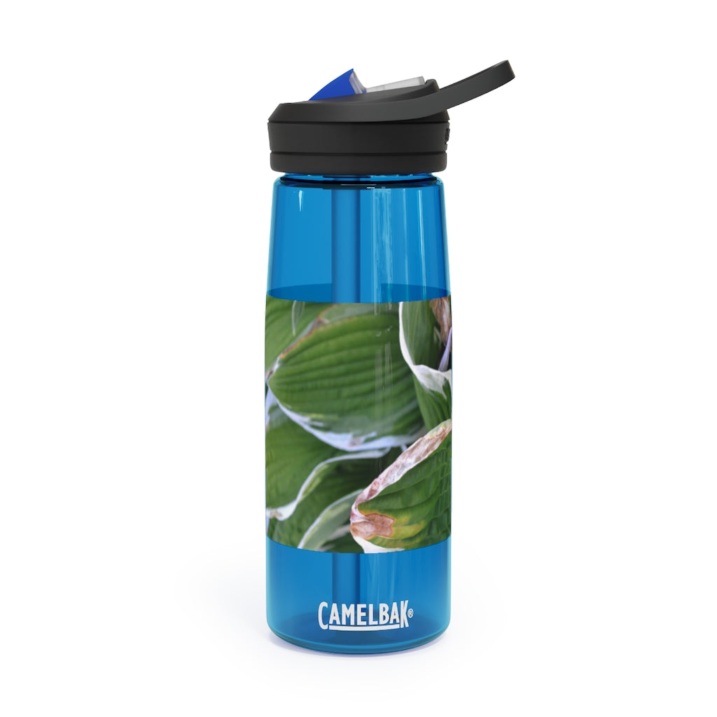 Green Leaves CamelBak Eddy® Water Bottle in 20oz and 25oz sizes, showcasing its durable design and spill-proof valve.