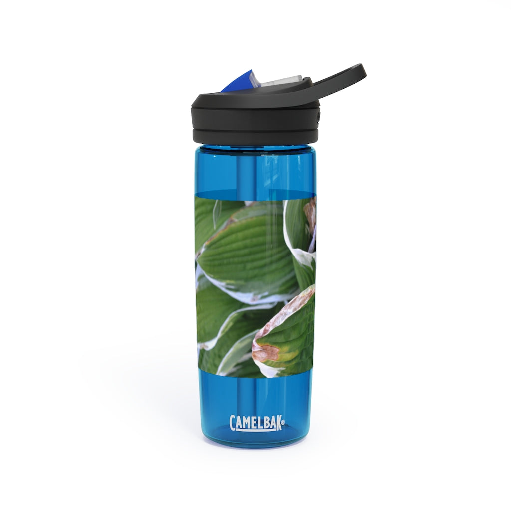 Green Leaves CamelBak Eddy® Water Bottle in 20oz and 25oz sizes, showcasing its durable design and spill-proof valve.